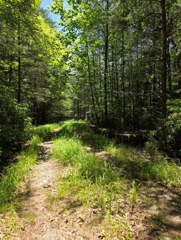 Lot 1 High Knee Road Cherry Log GA 30522