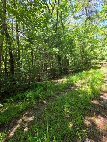 Lot 1 High Knee Road Cherry Log GA 30522