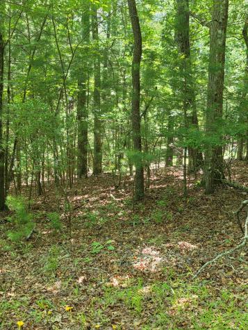 Lot 1 High Knee Road Cherry Log GA 30522