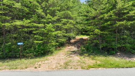 Lot 1 High Knee Road Cherry Log GA 30522