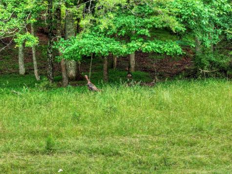20.11 Ac Mountain View Road Mccaysville GA 30555
