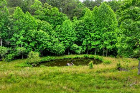 20.11 Ac Mountain View Road Mccaysville GA 30555