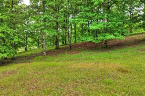 20.11 Ac Mountain View Road Mccaysville GA 30555