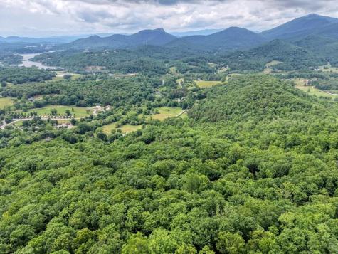 22 Buckhead Hills Hiawassee GA 30546