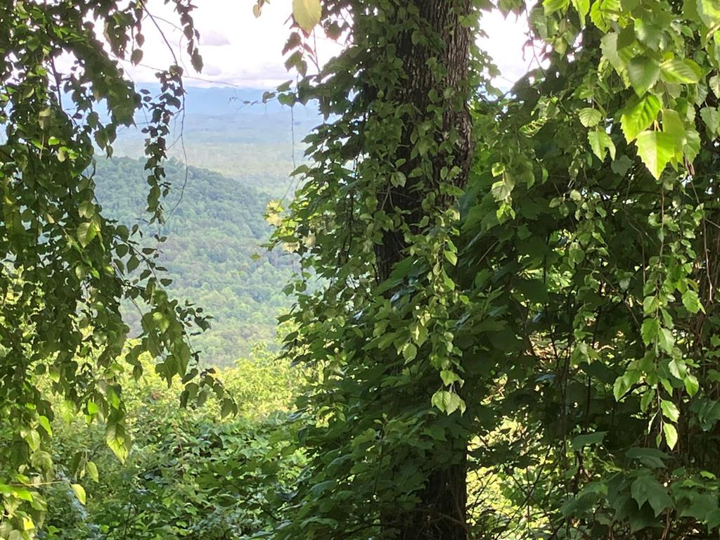 Lot 51 Buck Ridge Drive Murphy NC 28906