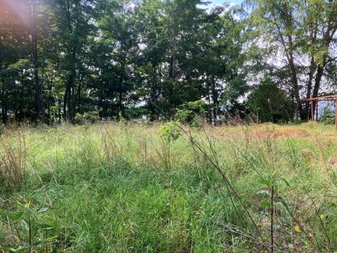 Lot 51 Buck Ridge Drive Murphy NC 28906