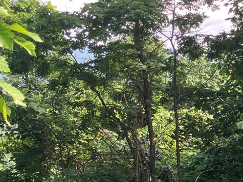 Lot 51 Buck Ridge Drive Murphy NC 28906