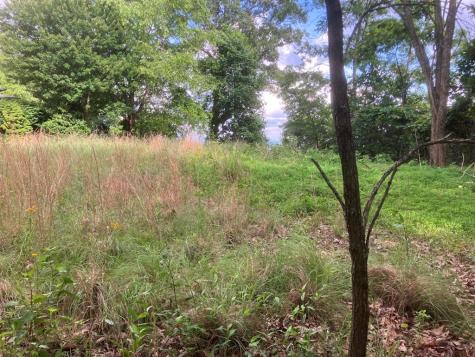 Lot 51 Buck Ridge Drive Murphy NC 28906