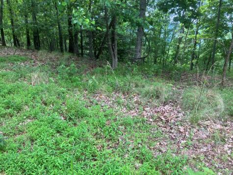 Lot 51 Buck Ridge Drive Murphy NC 28906