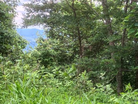 Lot 51 Buck Ridge Drive Murphy NC 28906