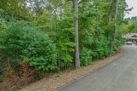 2.5 Ac Mango Lane Ellijay GA 30540