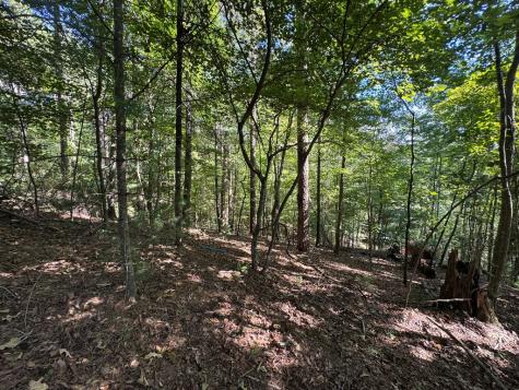 2.5 Ac Mango Lane Ellijay GA 30540