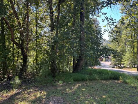 2.5 Ac Mango Lane Ellijay GA 30540