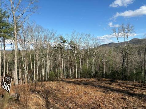 Lot 86 Lookout Ridge Mineral Bluff GA 30559