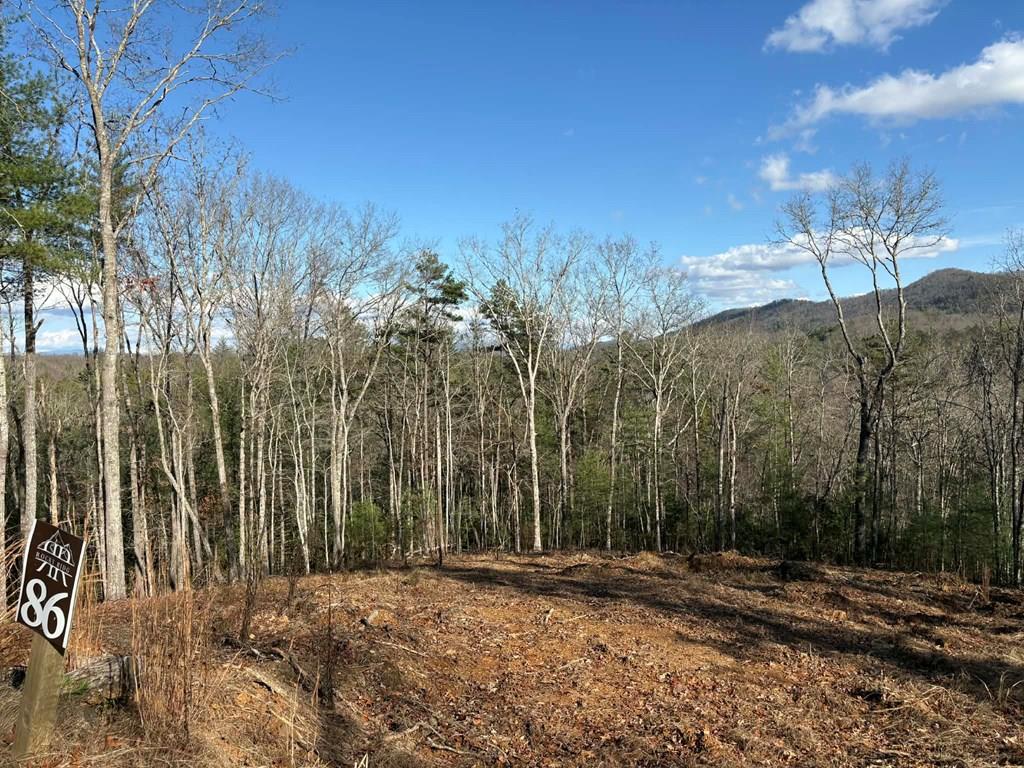 Lot 86 Lookout Ridge Mineral Bluff GA 30559