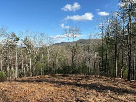 Lot 86 Lookout Ridge Mineral Bluff GA 30559