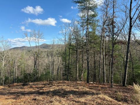 Lot 86 Lookout Ridge Mineral Bluff GA 30559