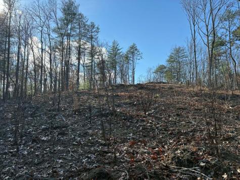 Lot 86 Lookout Ridge Mineral Bluff GA 30559