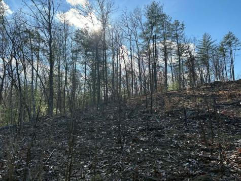 Lot 86 Lookout Ridge Mineral Bluff GA 30559