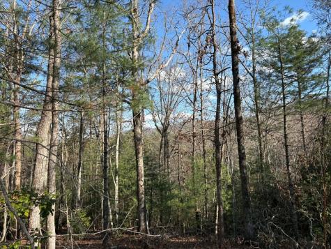 Lot 86 Lookout Ridge Mineral Bluff GA 30559
