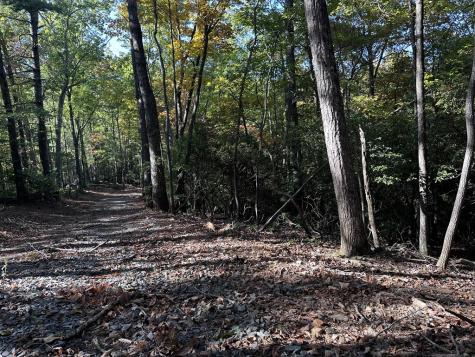 TR3 Turniptown Road Ellijay GA 30536