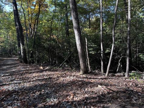 TR3 Turniptown Road Ellijay GA 30536