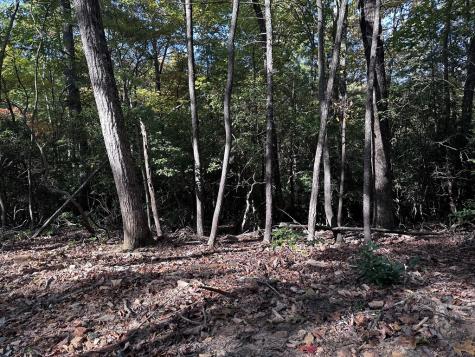 TR3 Turniptown Road Ellijay GA 30536