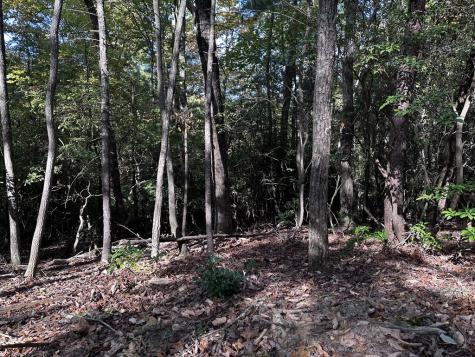 TR3 Turniptown Road Ellijay GA 30536