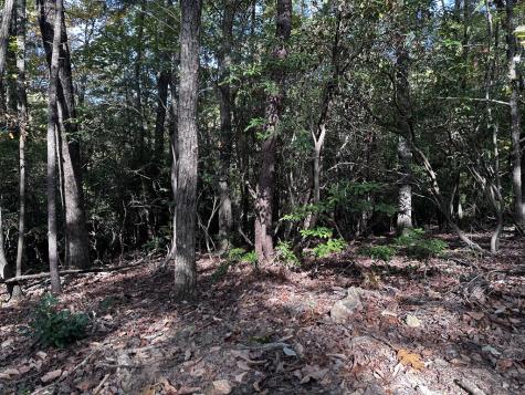 TR3 Turniptown Road Ellijay GA 30536