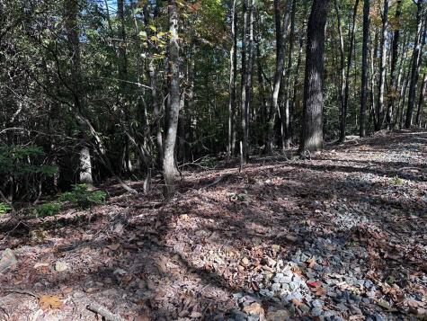 TR3 Turniptown Road Ellijay GA 30536