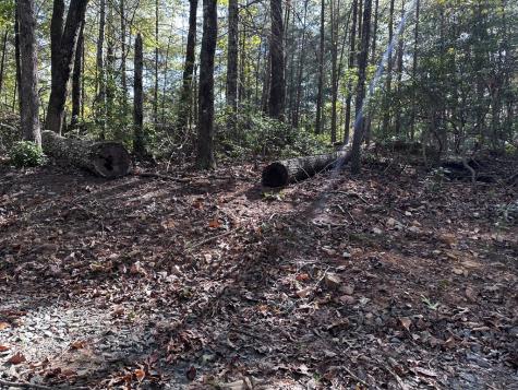 TR3 Turniptown Road Ellijay GA 30536