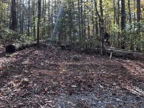 TR3 Turniptown Road Ellijay GA 30536