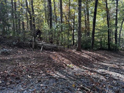 TR3 Turniptown Road Ellijay GA 30536