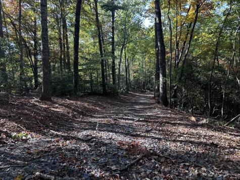 TR3 Turniptown Road Ellijay GA 30536