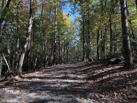 TR3 Turniptown Road Ellijay GA 30536