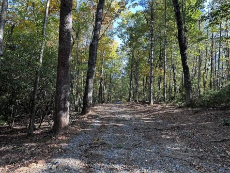 TR3 Turniptown Road Ellijay GA 30536