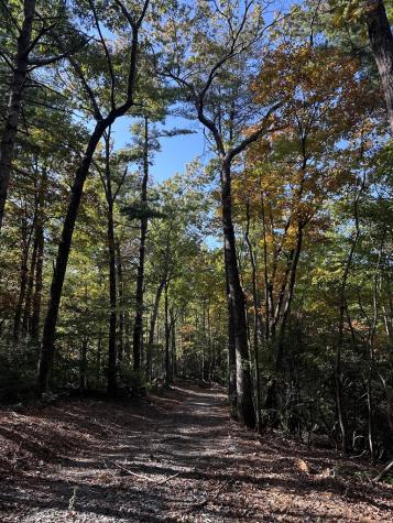 TR3 Turniptown Road Ellijay GA 30536