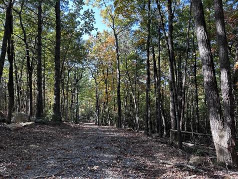 TR3 Turniptown Road Ellijay GA 30536