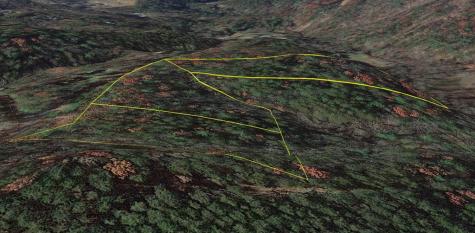 TR3 Turniptown Road Ellijay GA 30536