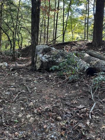 TR3 Turniptown Road Ellijay GA 30536