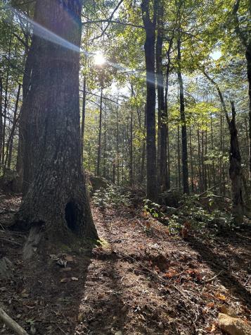 TR3 Turniptown Road Ellijay GA 30536