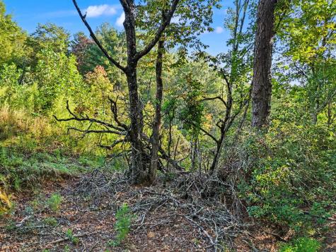 Lot 1q Tusquittee Overlook Hayesville NC 28904