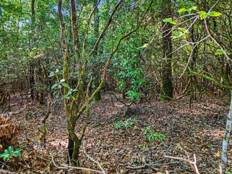 Lot 1q Tusquittee Overlook Hayesville NC 28904