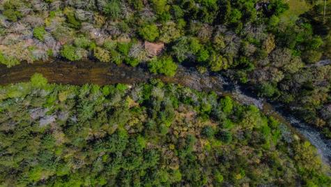 80 River Bend Circle Ellijay GA 30536