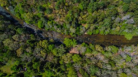 80 River Bend Circle Ellijay GA 30536