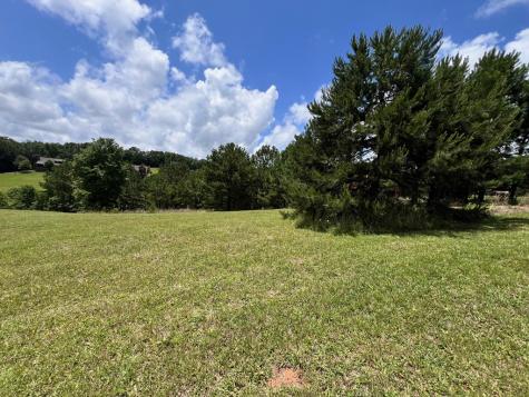 Lt 18/19 Pond Overlook Lane Morganton GA 30560