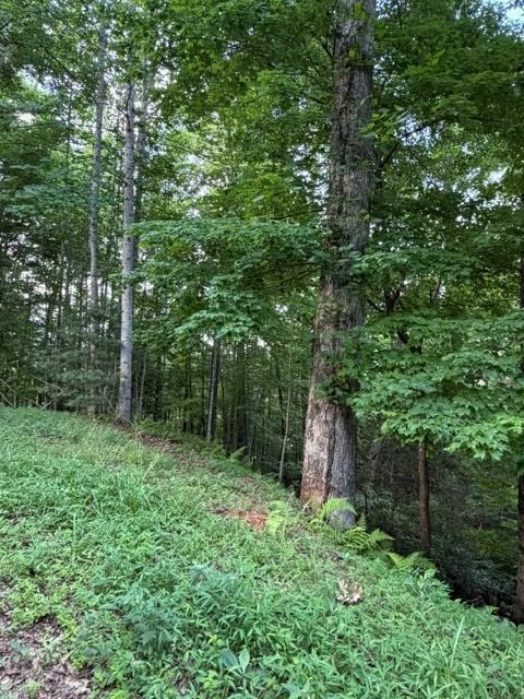 Lot 59 Quiet Mountain Trail Murphy NC 28906