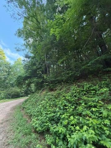 Lot 59 Quiet Mountain Trail Murphy NC 28906