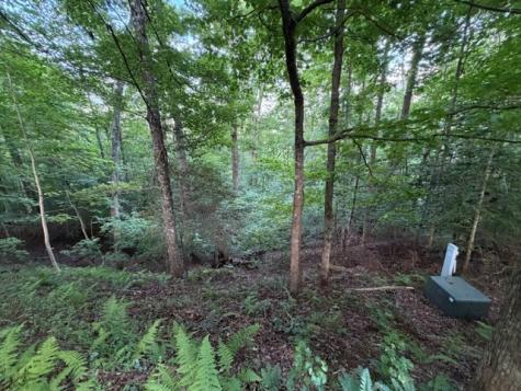 Lot 59 Quiet Mountain Trail Murphy NC 28906