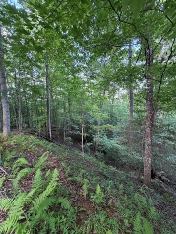 Lot 59 Quiet Mountain Trail Murphy NC 28906